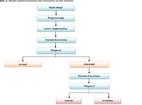 Figure 2: Model atherosclerosis the structure of the system.