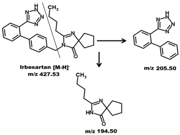 Figure 10: Proposed MS/MS Fragmentation Mechanism of Irbesartan. 