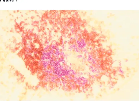 Figure 1Materials and methodsTissue preparation and staining