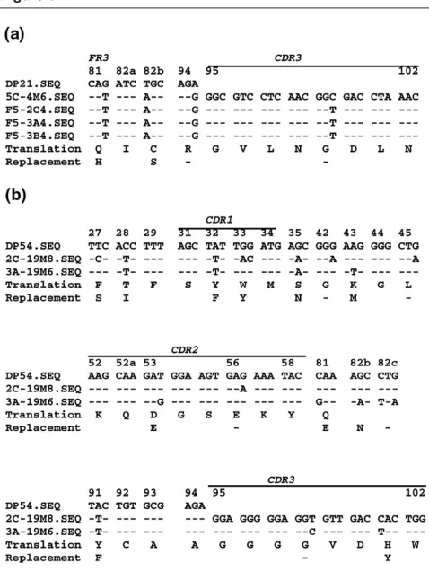 Figure 33a-19m6 and 2c-19m8 (Fig. 3b). These genes, with 95.5%homology to DP54, shared four replacement mutations,