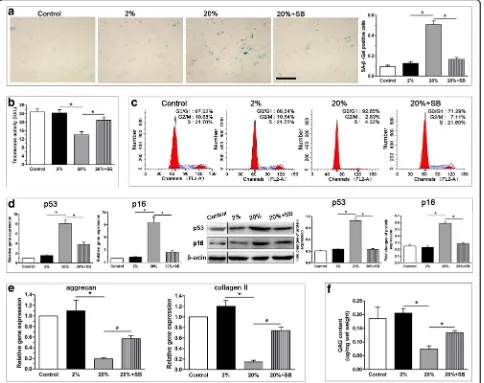 Fig. 7 Effects of p38 MAPK inhibition on senescence associated β-galactosidase (SA-β-Gal) activity, telomerase activity, G1 cell cycle arrest andsenescence marker (p16 and p53) expression, matrix molecule (aggrecan and collagen II) expression and glycosami