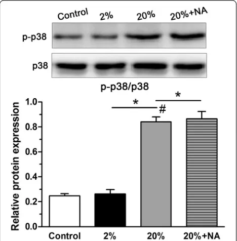 Fig. 4 Gene expression of matrix macromolecules (aggrecan and collagen II) and glycosaminoglycan (GAG) content from nucleus pulposus (NP)significant difference (content (cells in scaffold culture