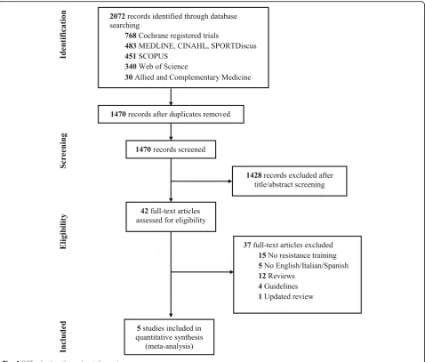 Fig. 1 RCT selection throughout the review