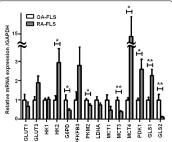 Fig. 1 RA-FLS exhibit higher HK2, MCT4, PDK1, and GLS1 mRNA levels than OA-FLS. Glycolysis- and glutaminolysis-related mRNAs were examined in 12 OA-FLS and 19 RA-FLS by real-time PCR, and their levels were normalized to that of GAPDH mRNA