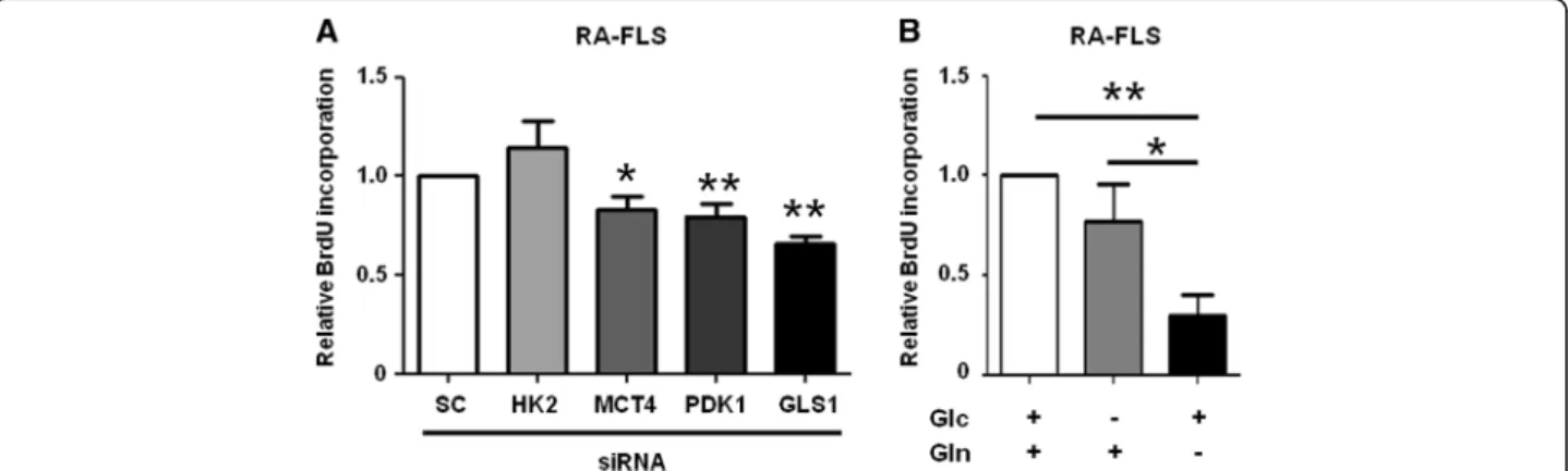 Fig. 3 Glutamine is required for the proliferation of RA-FLS. a RA-FLS proliferation was determined using the BrdU assay 96 h after transfection with HK2, MCT4, PDK1, GLS1, or SC siRNA ( n = 5)