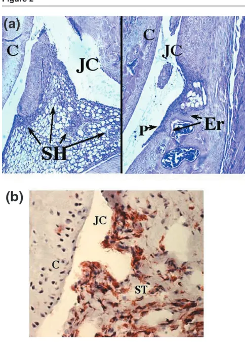 Figure 2Figure 3