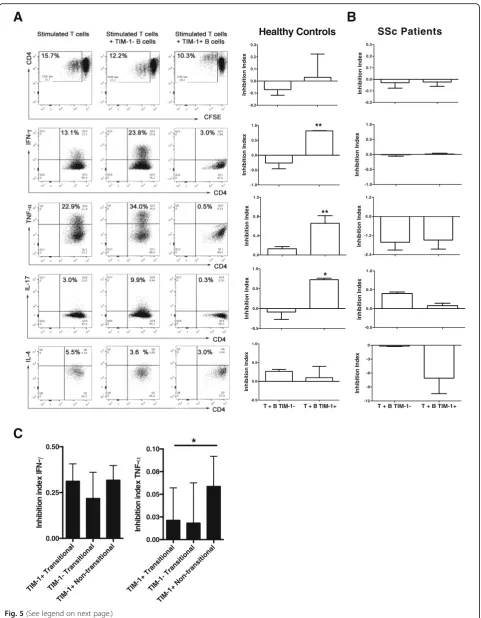 Fig. 5 (See legend on next page.)