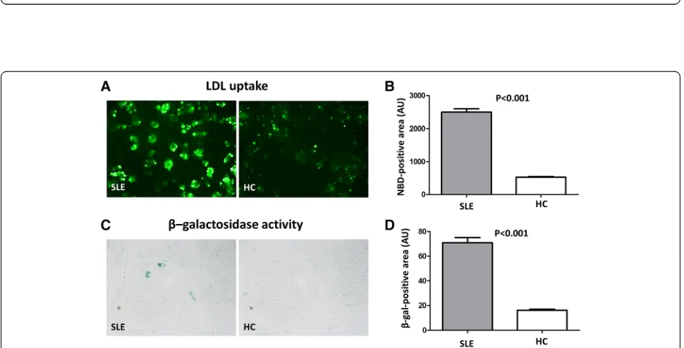 Fig. 2 Increased oxidation of lipoproteins from systemic lupus erythematosus (SLE) patients