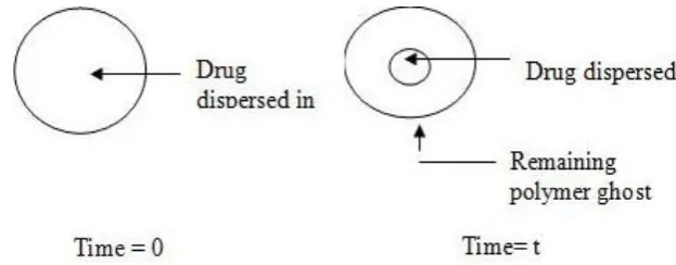 Figure 6: Schematic Diagram of Matrix Systems. 