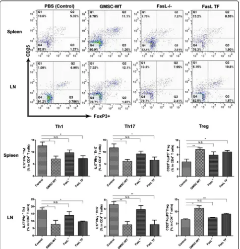 Fig. 4 GMSC transfer therapy influences the polarization of the Th cells. a Representative flow cytometry data show the expression of CD25 andFoxP3 gated on CD4 cells (regulatory T cells; Tregs) in the spleens and DLNs of four groups of CIA mice