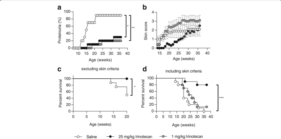 Fig. 1 Suppression of SLE by irinotecan in MRL/Bonferroniirinotecan, andshowing animals sacrificedValues represent the mean ± SEM