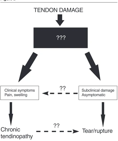 Figure 2eration of tendon that ultimately led to rupture. Arner andLindholm [80] also saw vascular changes in some rup-TENDON DAMAGE