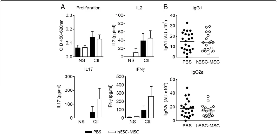 Fig. 4 Embryonic stem cell-derived mesenchymal stromal cells(hESC-MSC) migrate to the inguinal lymph nodes (ILN) and induceexpression of murine indoleamine 2,3 dioxygenase (IDO1)