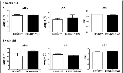 Fig. 8 Micro-computed tomography evaluations of the proximal femoral head of the acetabular rim angle, acetabular angle and acetabular rim(length of the ephrin-B2 (EFNB2)Col2knockout (KO) mice with a locomotor phenotype at both 8 weeks of age and 1 year