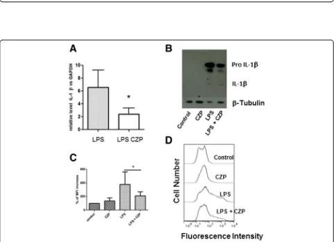 Fig. 4 Heme oxygenase 1 (HO-1) induction by anti-TNF certolizumab pegol (CZP) is due to reverse signaling