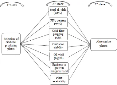 Figure 1. Hierarchy of alternative plant selection. 
