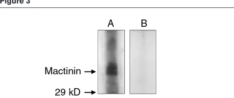 Figure 3Figure 5