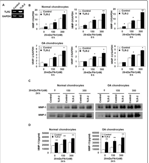 Fig. 3 Increased Toll-like receptor (TLR)-2 expression promotes 29-kDa amino-terminal fibronectin fragment (29-kDa FN-f)-induced matrixand MMP-3 was analyzed using Western blot analysis