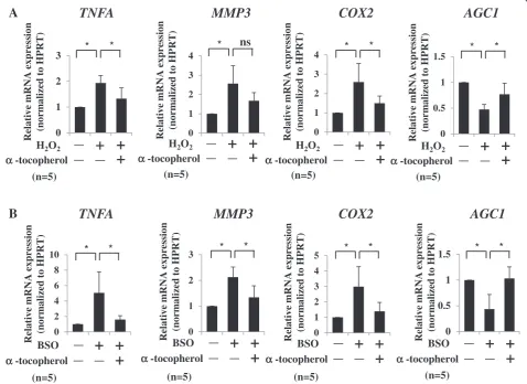 Fig. 5 Treatment ofH α-tocopherol significantly abolishes the catabolic effect of ROS