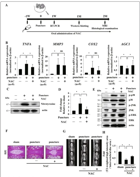 Fig. 7 (See legend on next page.)