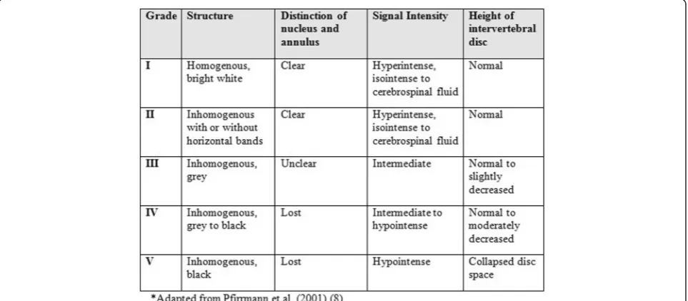 Fig. 1 Pfirrmann grading of lumbosacral disc degeneration. Adapted from Pfirrmann et al