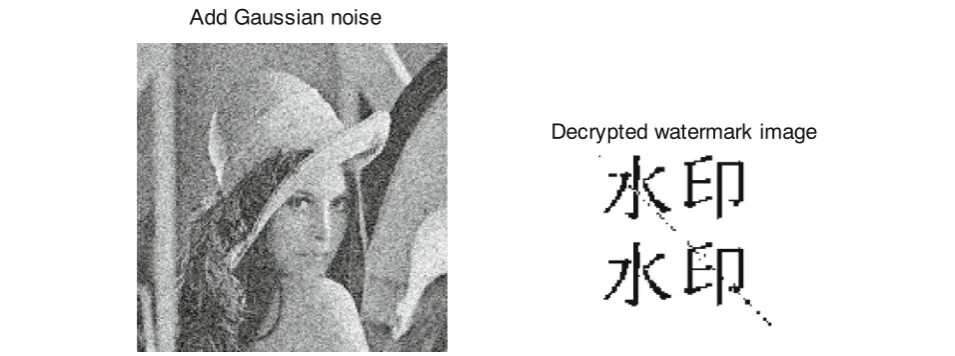 Fig. 12 Add product noise and decrypted watermark