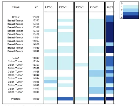 Table 4.  Intensity of PAP mRNA hybridization in normal versus tumor tissue  
