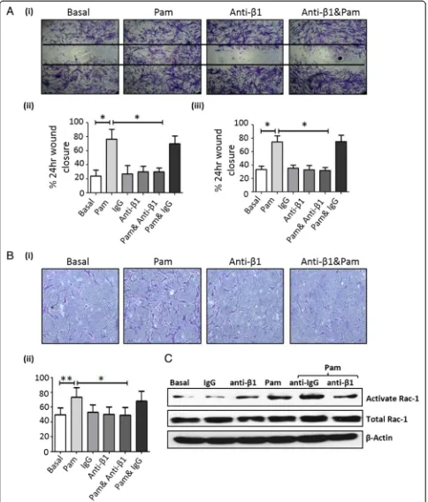 Fig. 5 a Representative photomicrographs of RASFC inhibition of migration by anti-β1-integrin (10 μg/ml) are seen in (i)