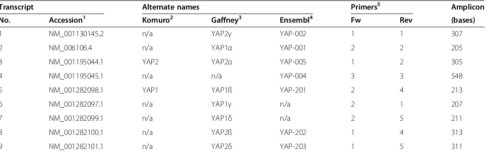 Table 1 List of human YAP transcript variants with alternate names, primers used for detection by quantitativeRT-PCR, and expected amplicon size(s) of PCR products