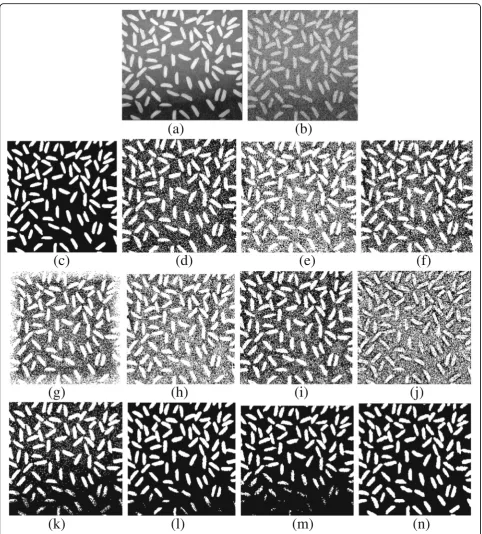 Fig. 8 Segmentation results on the rice image 256 × 256 corrupted by the Gaussian noise (0, 0.010).truth