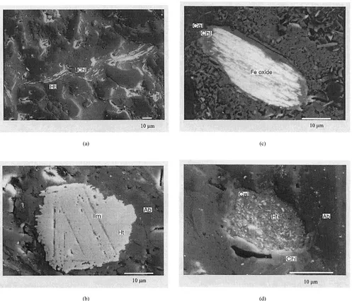 Fig. 7. Secondary electron image of the samples from red bed ((a), (b)) and greenish mudstone ((c), (d)) of the Chopyeong Formation showing hematiteand magnetite
