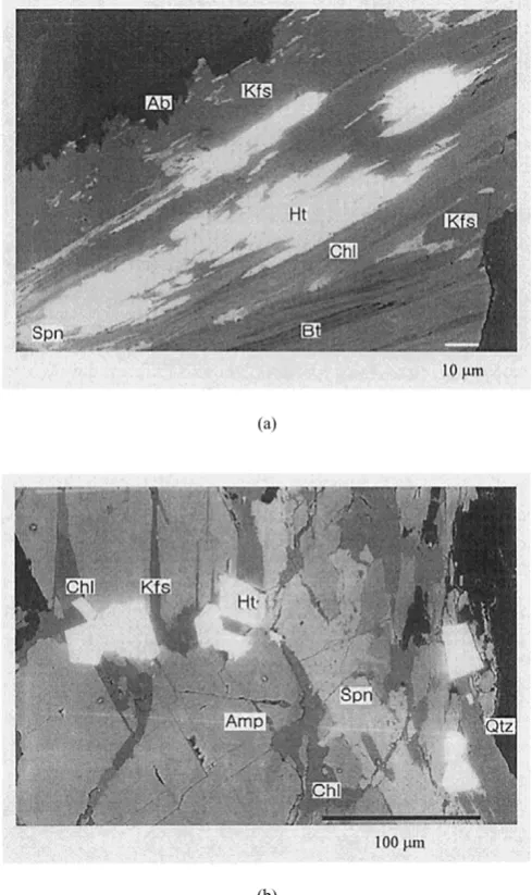 Fig. 8. Back-scattered electron image of the samples from (a) granite in thewest to the basin and (b) granite in the east to the basin