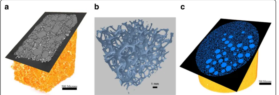 Fig. 1 Examples of micro-CT obtained microstructure: (a) Heterogeneous propellant, (b) Synthetic foam, (c) Glass beads (Lee et al