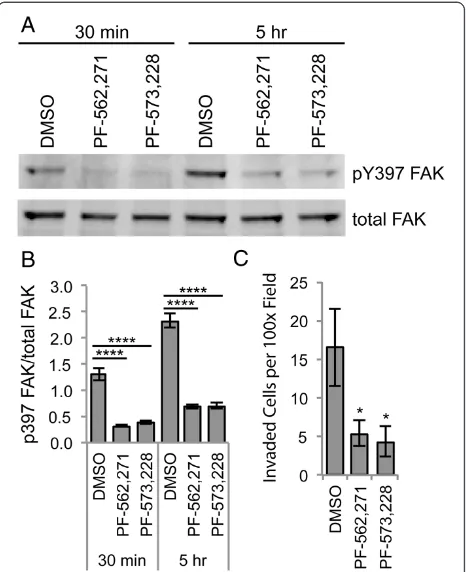 Figure 1 Focal adhesion kinase inhibitors reduce synovialwith PF-562,271, PF-573,228 or dimethyl sulfoxide (DMSO) as thevehicle control and allowed to invade for 24 hours in Matrigel invasionchambers