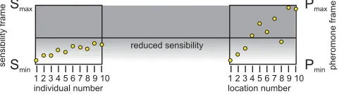 Fig. 4. Uniform  sensibility                                                               Fig