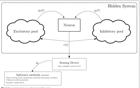 Fig. 1 The experimental setup of interest in this paper