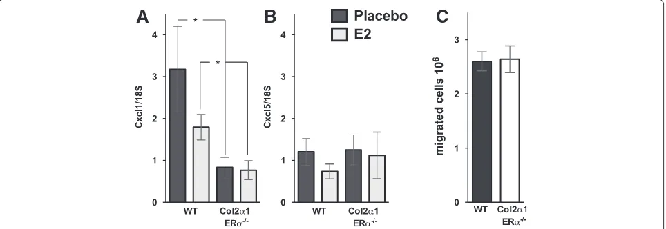 Figure 4 Estrogen receptor alpha (EReffect on systemic neutrophil migration capacity.α) expression in cartilage affects local gene expression of the neutrophil chemokine CXCL1 but has no Col2α1-ERα−/− and wild-type (WT) littermates were treated with placeb
