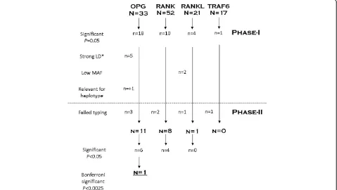 Figure 2 Schematic depiction of the SNPs selection process. *LD is linkage disequilibrium, some SNPs were in strong correlation in thedataset of phase-1 as calculated with R2 in haploview, or were part of a haplotype were other SNPs caused the significant association.