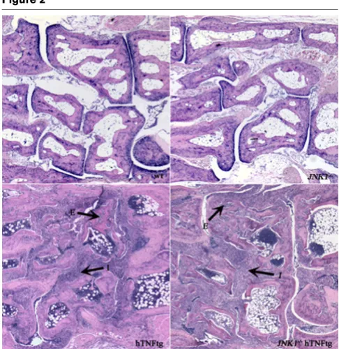 Figure 2Figure 3