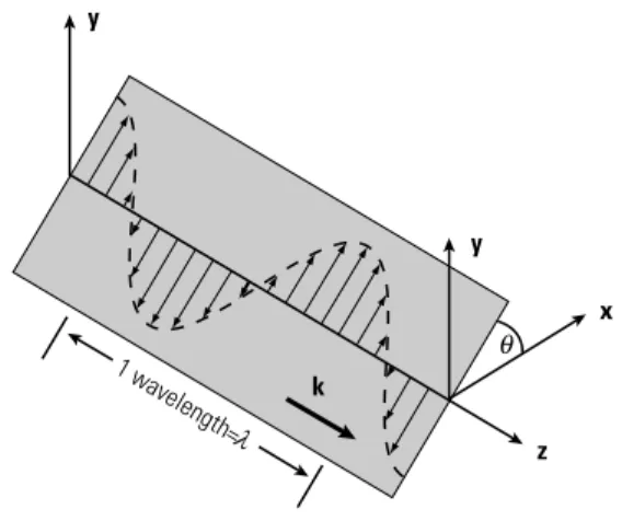 Fig. 1: A linearly polarized wave.