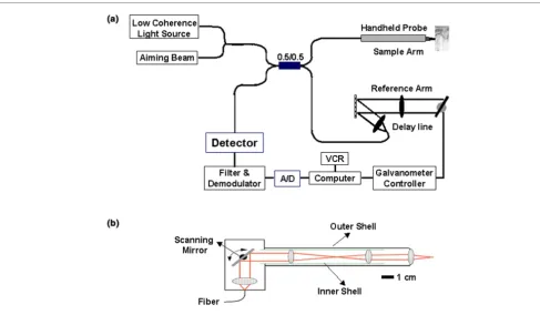 Figure 1Schematic drawing of the optical coherence tomography (OCT) system and the imaging probe usedSchematic drawing of the optical coherence tomography (OCT) system and the imaging probe used