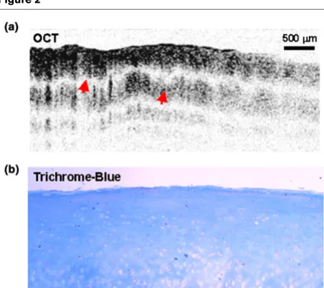 Figure 2Figure 4