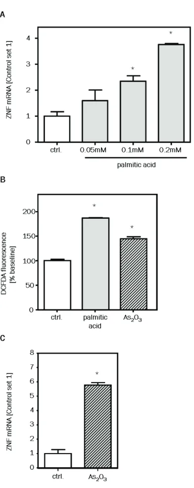 Figure 2. ZNF267 expression in an in vitro model of hepatocellular lipid accumulation: (A) Expression of ZNF267 mRNA in PHHs treated with different doses of palmitic acid