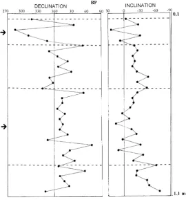 Fig. 10.Declination and inclination logs according to their stratigraphicsequence of San Juan (A) and Arroyo Yarar´a (B) archaeological sites.