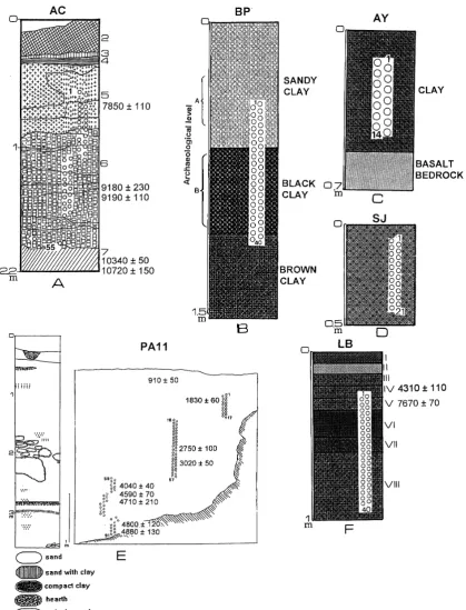 Fig. 2. Schematic stratigraphic proﬁles showing the sampled sections with location of the palaeomagnetic sampling related to stratigraphy