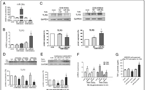 Figure 2 Effects of miR-26a on toll-like receptor (TLR)3 signaling by gain or loss of miR-26a function in NR8383