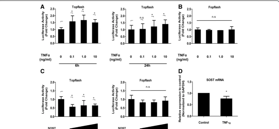 Figure 4 Effect of TNF-Fopflash plasmidcells were transfected with the Topflash reporter plasmid or the Fopflash reporter plasmid and increasing concentrations of the Sclerostin (SOST)plasmids (100 to 500 ng) or empty backbone plasmids.for 24 h, as assesse
