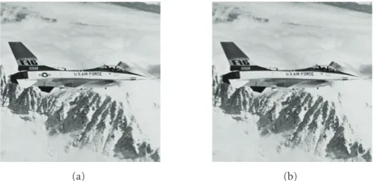 Figure 6: Test image Plane (original and with ﬂag removed).