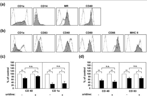 Figure 1LEF-M interferes with DC differentiationLEF-M interferes with DC differentiation