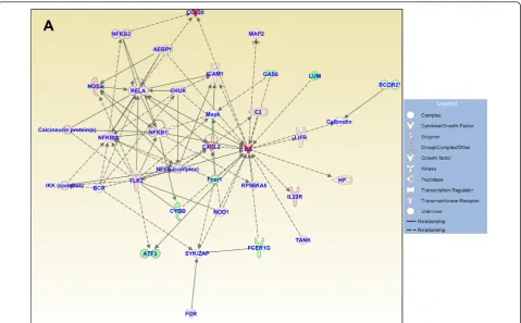 Figure 5 Functional gene networks identified using Ingenuity Pathway Analysis (IPA) from differentially expressed genes between thecontrol and experimental discs